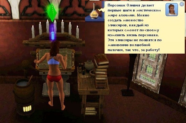      The Sims 3  